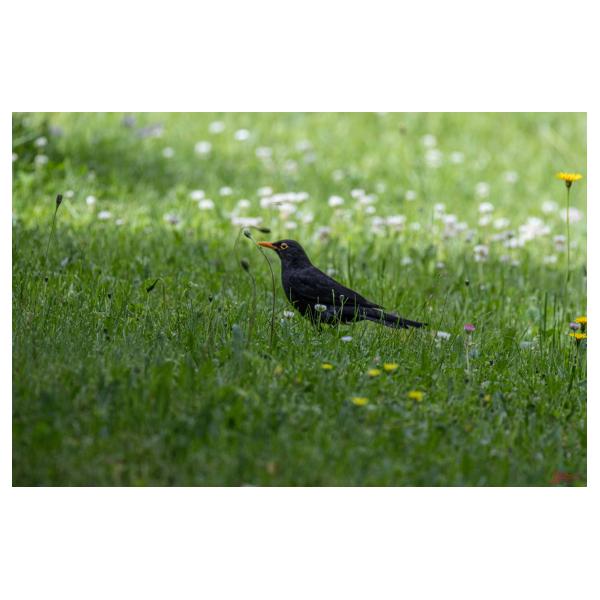 PHOTO84, CLUB, 84 , LUBERON